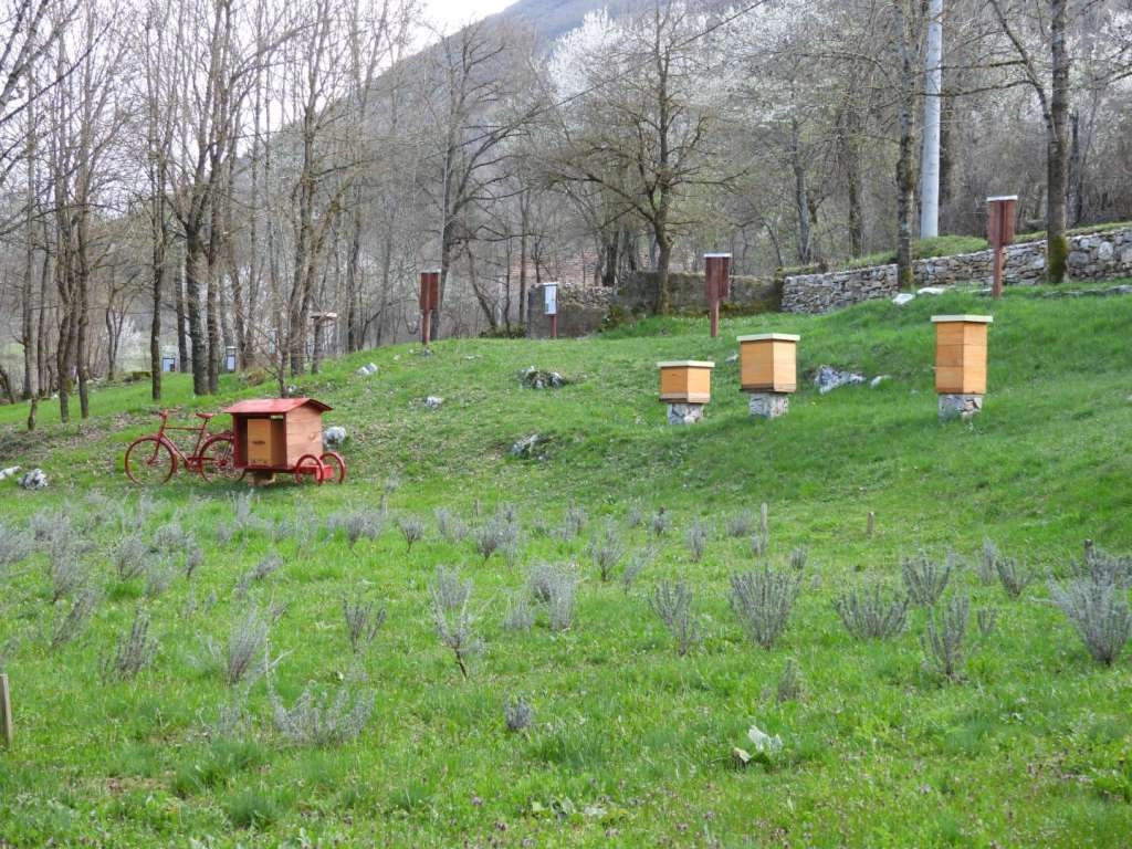 U Ćaiću kod Livna otvara se prvi Pčelarski park u BiH: Spoj tradicije, edukacije i api turizma